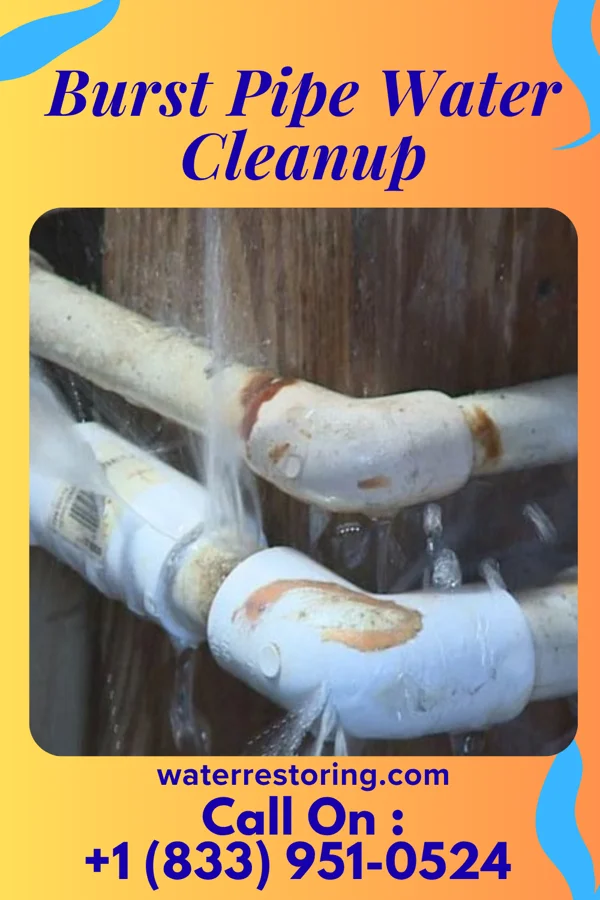 Burst Pipe Water Cleanup in Lockland, OH