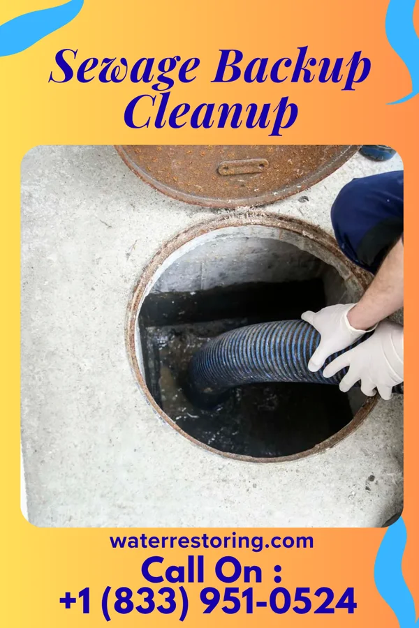 Sewage Backup Cleanup in Lockland, OH